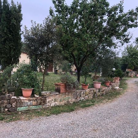 Agriturismo Oria Bianca Villa San Quirico d'Orcia Exterior photo